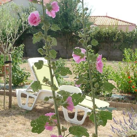 Chambre D'Hote Fleur De Potager Les Sables-dʼOlonne Exterior foto